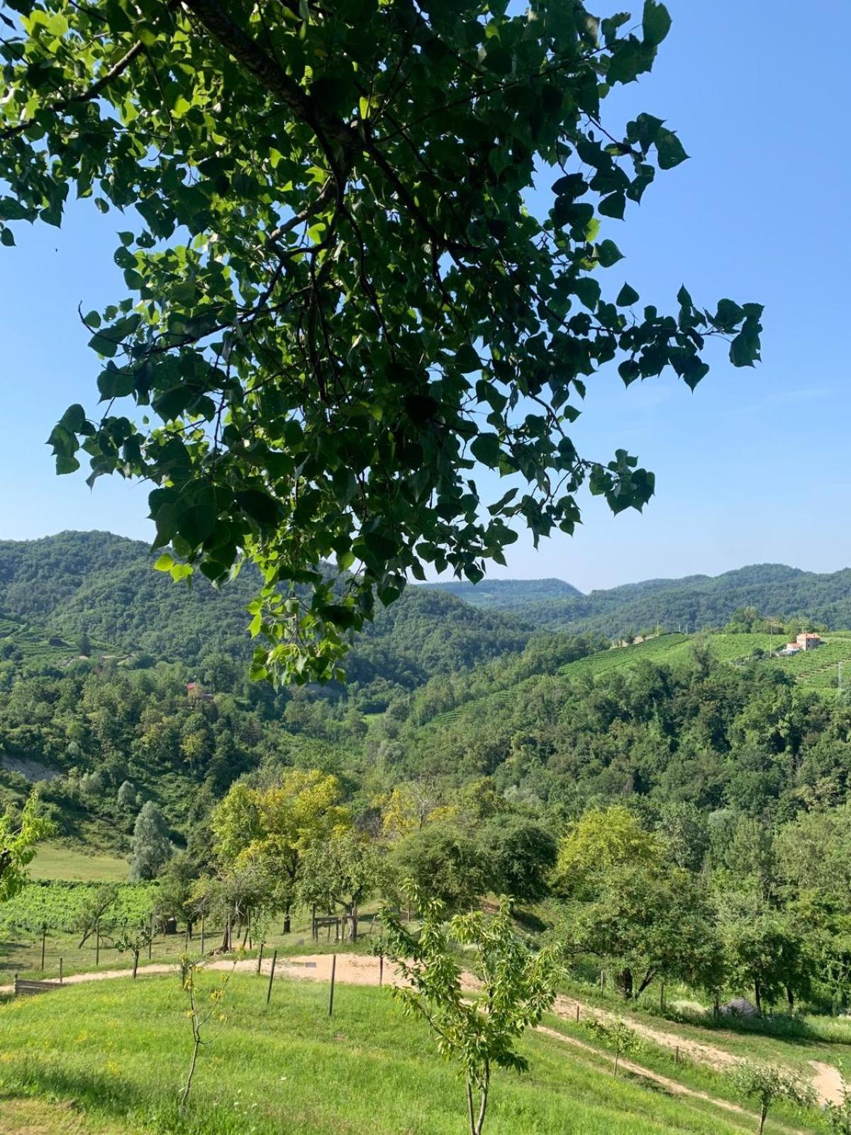 Agriturismo Le Noci Tarzo Luaran gambar