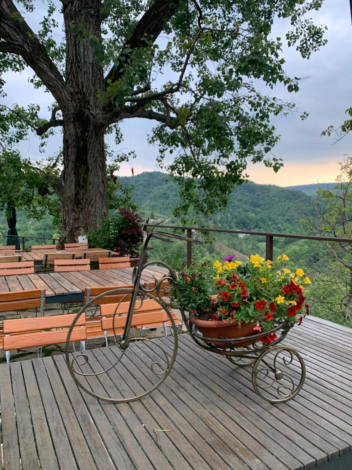 Agriturismo Le Noci Tarzo Luaran gambar