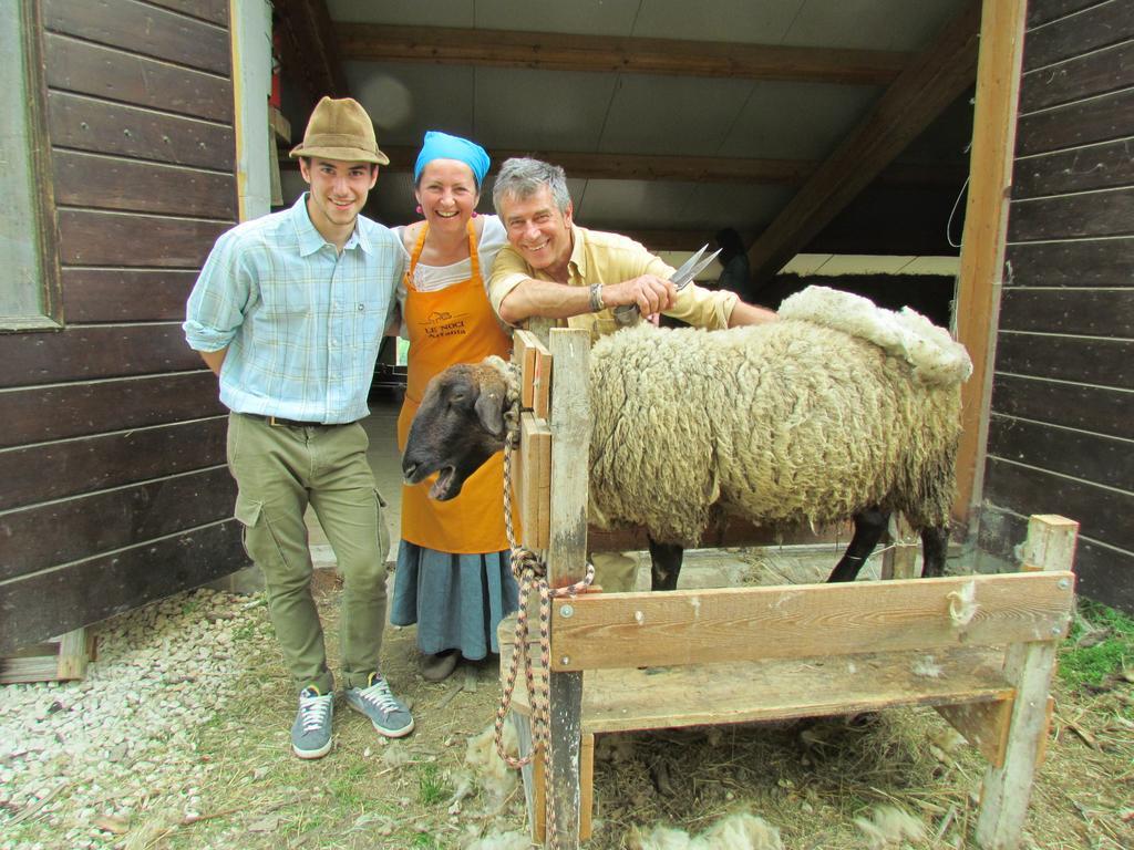 Agriturismo Le Noci Tarzo Luaran gambar